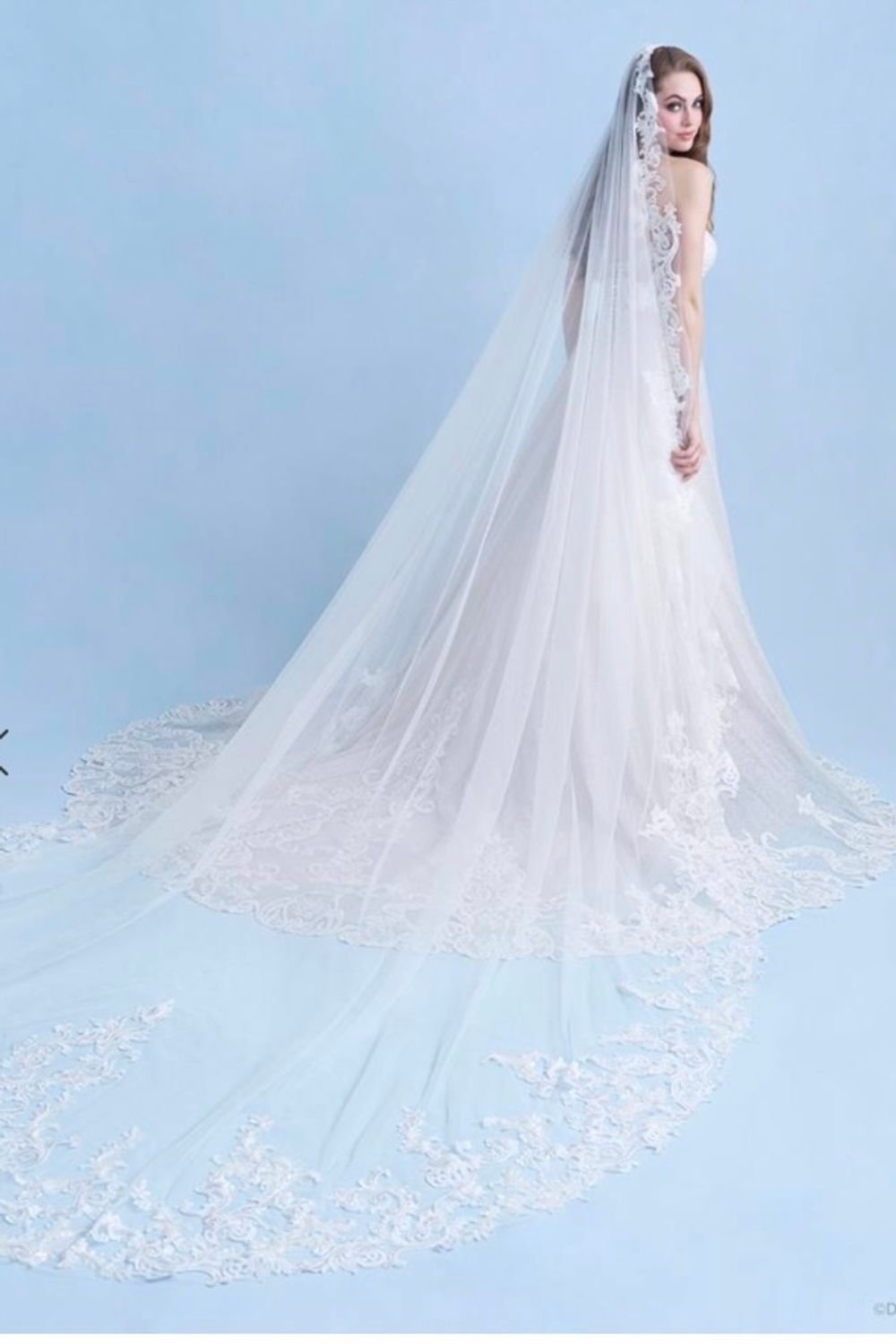 Once Upon a Gown: The Magic of Allure Disney Wedding Dresses