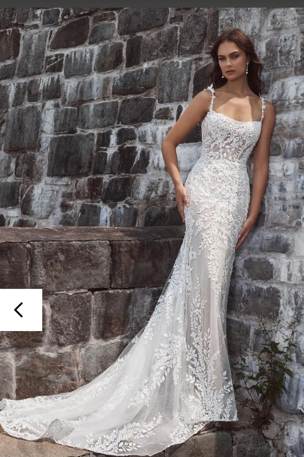 Calla Blanche 124105 Shaughna 0