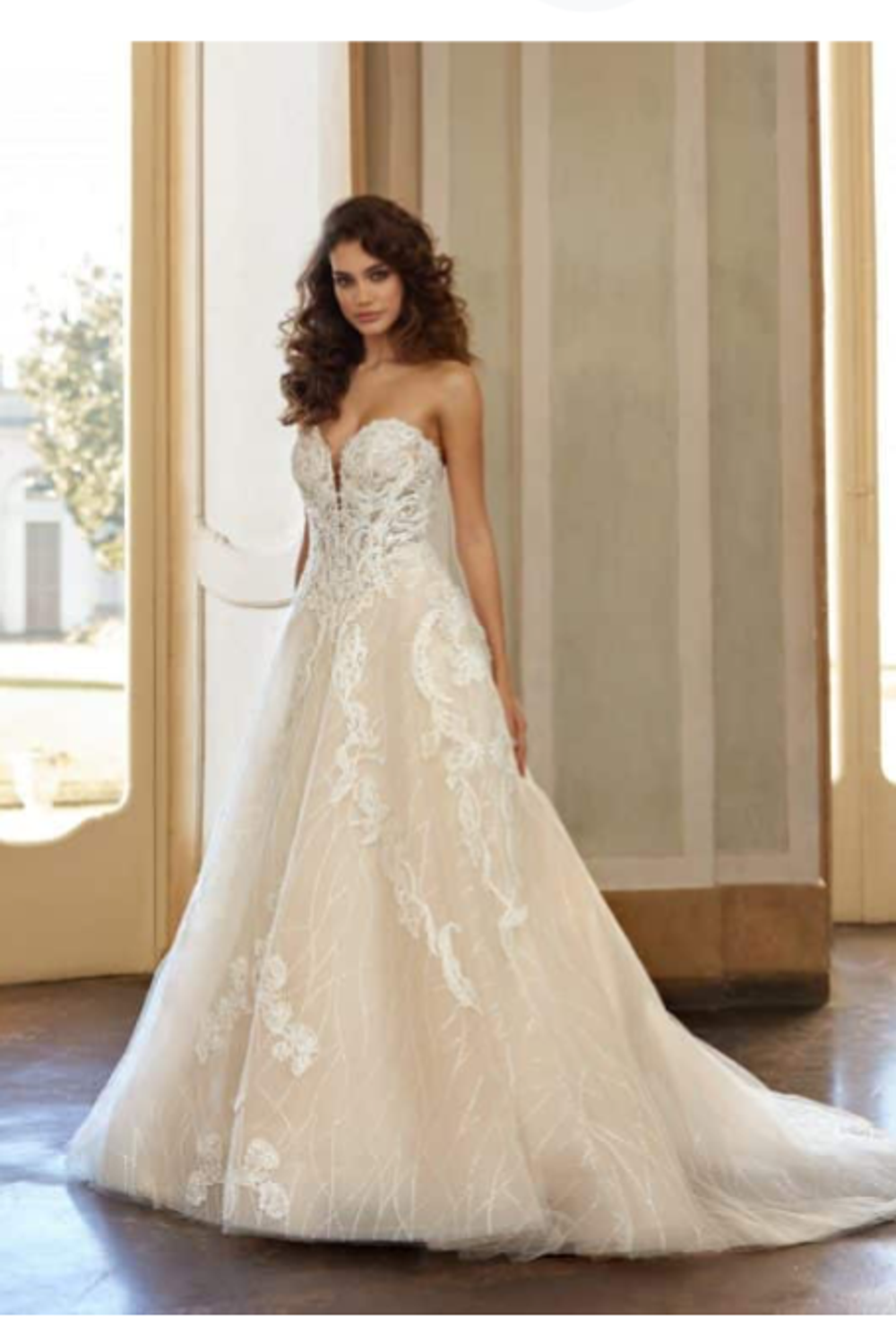 Randy Fenoli Dixie 0