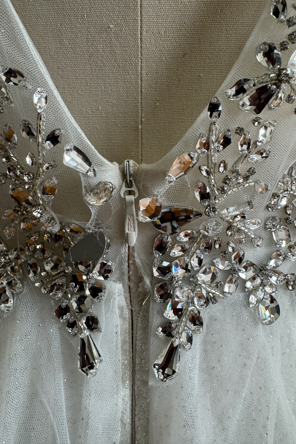Lazaro Ashlyn 5