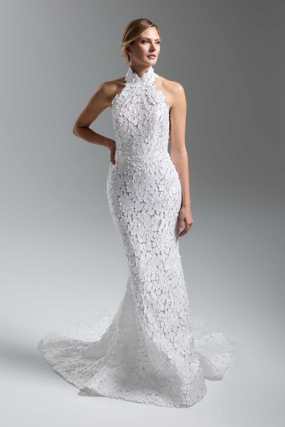 Lazaro Lana-D8 4