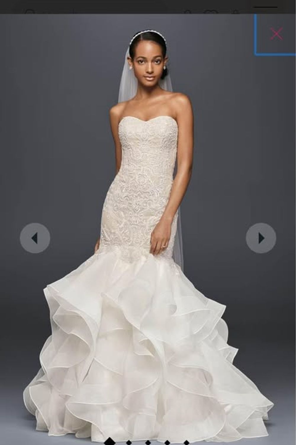 Oleg Cassini Beaded Lace Strapless Gown 0