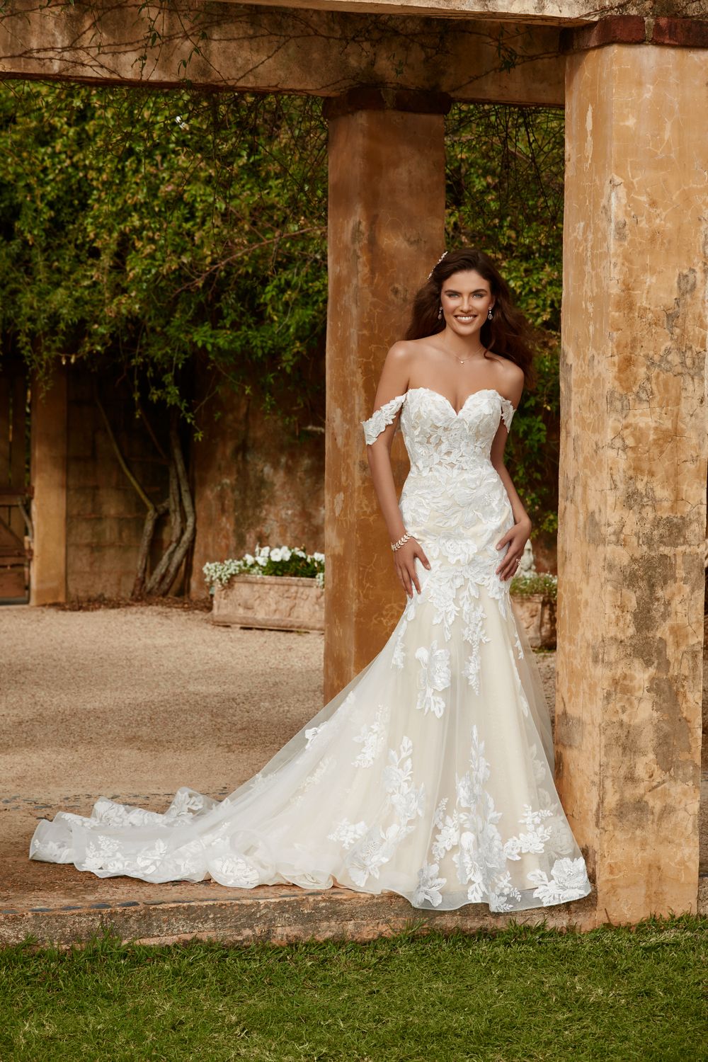 Sophia Tolli Amaya, Y12245 0