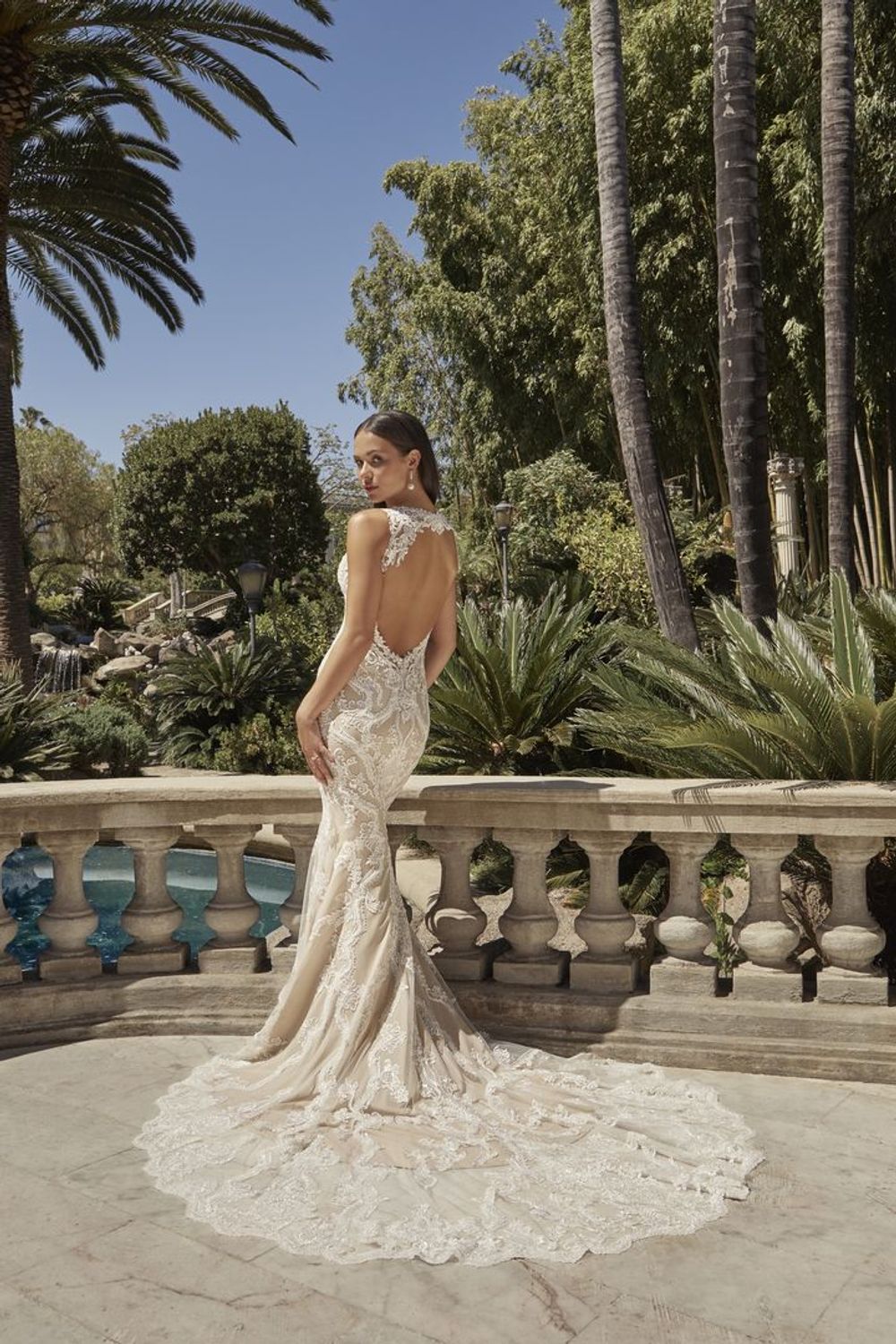 Casablanca Bridal Star (2498) 1
