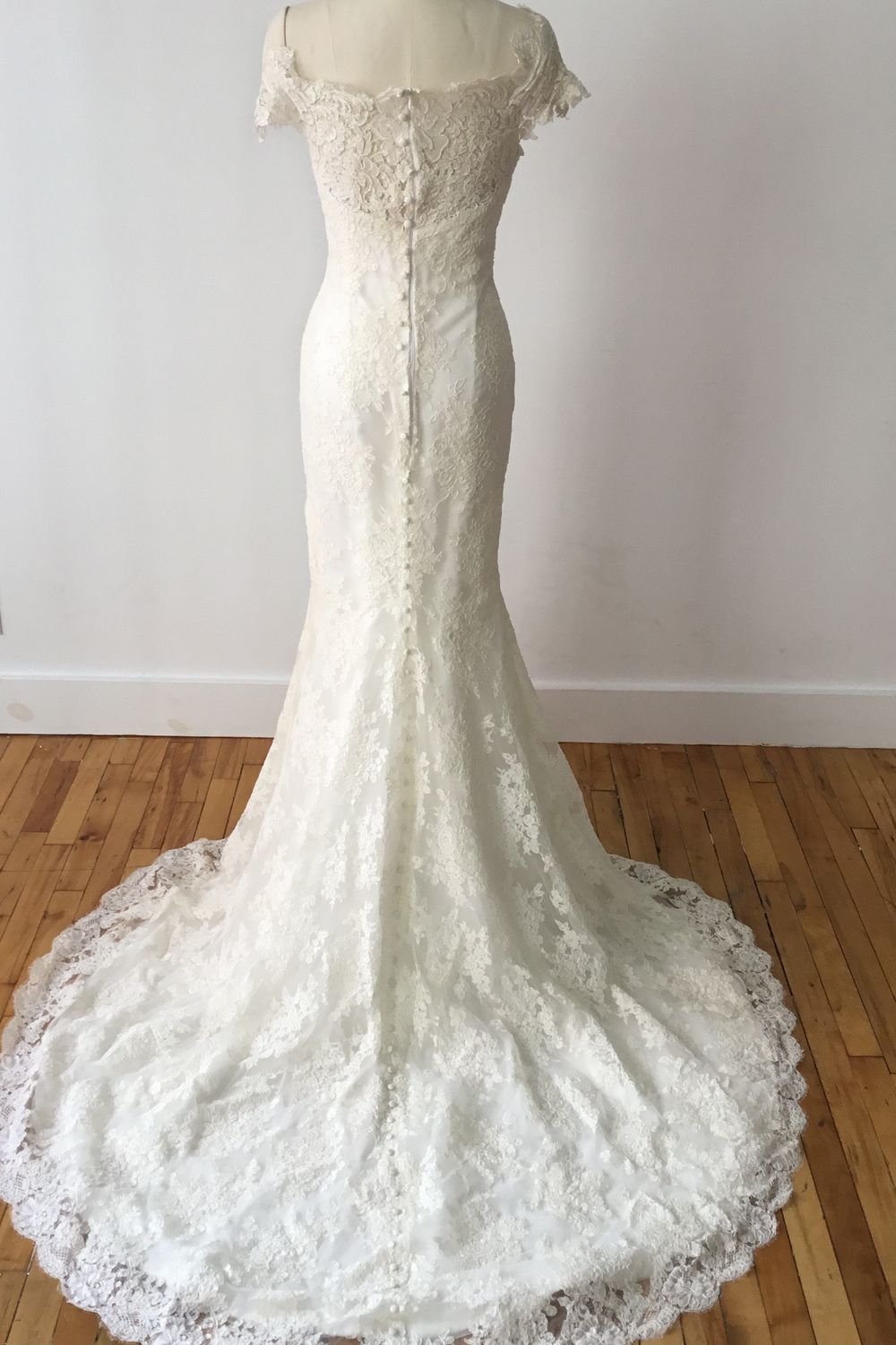 Sareh Nouri Sarah Grace  3