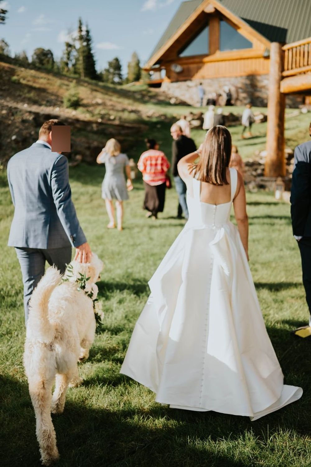 Sareh Nouri Addison 9