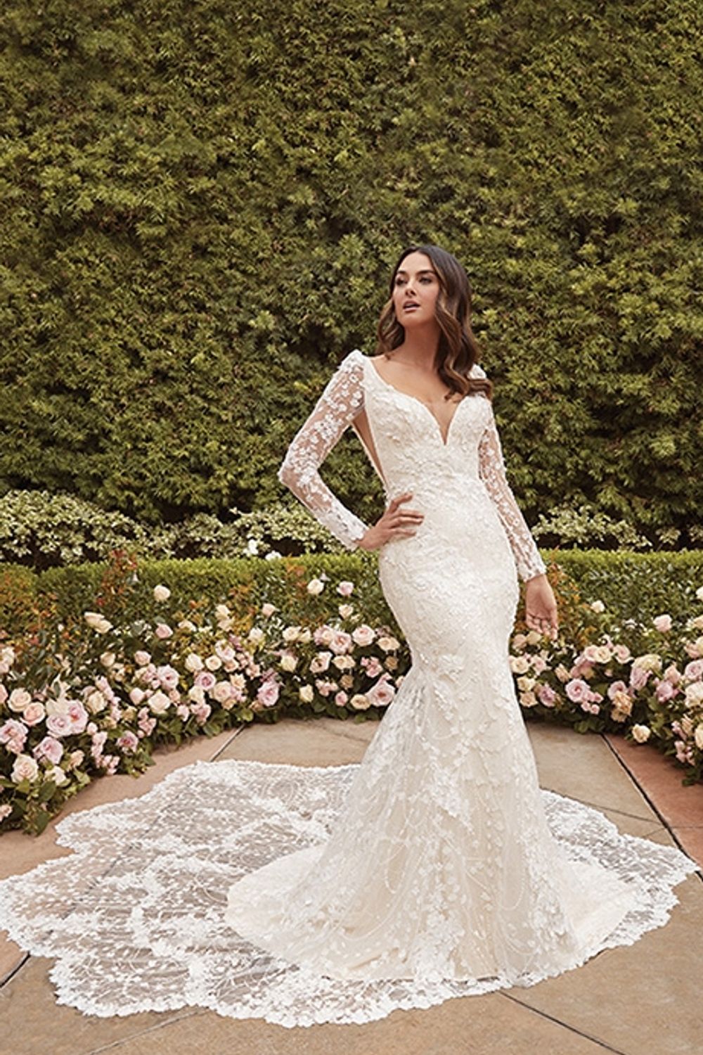 Casablanca "Lauren" 2476 1