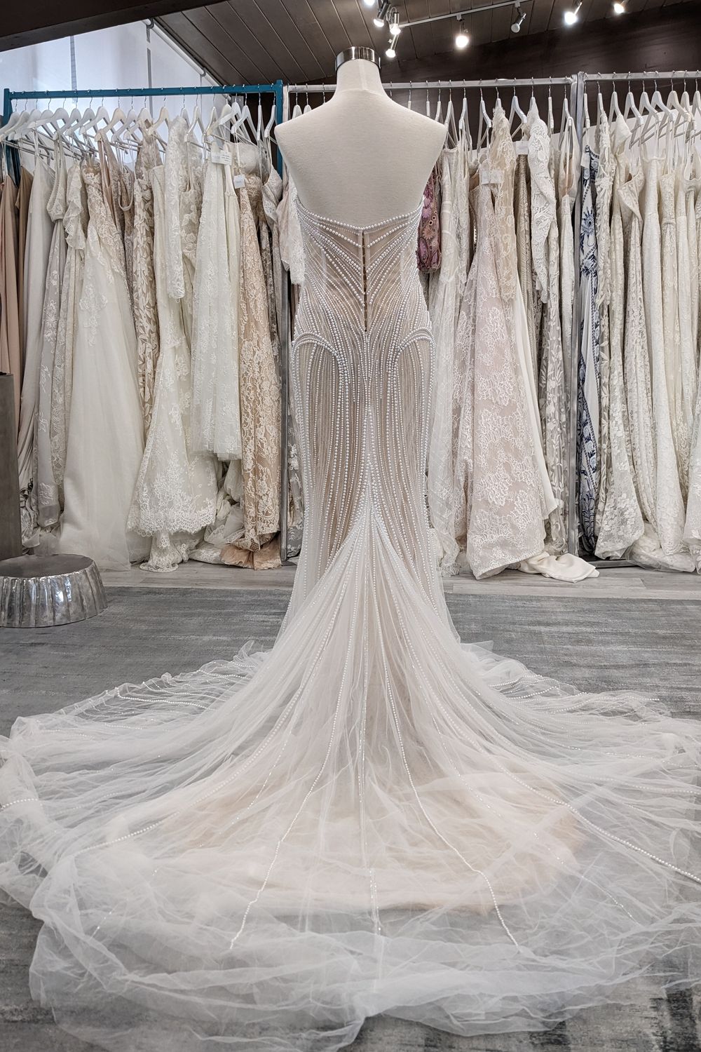 Dana Harel Natasha 6