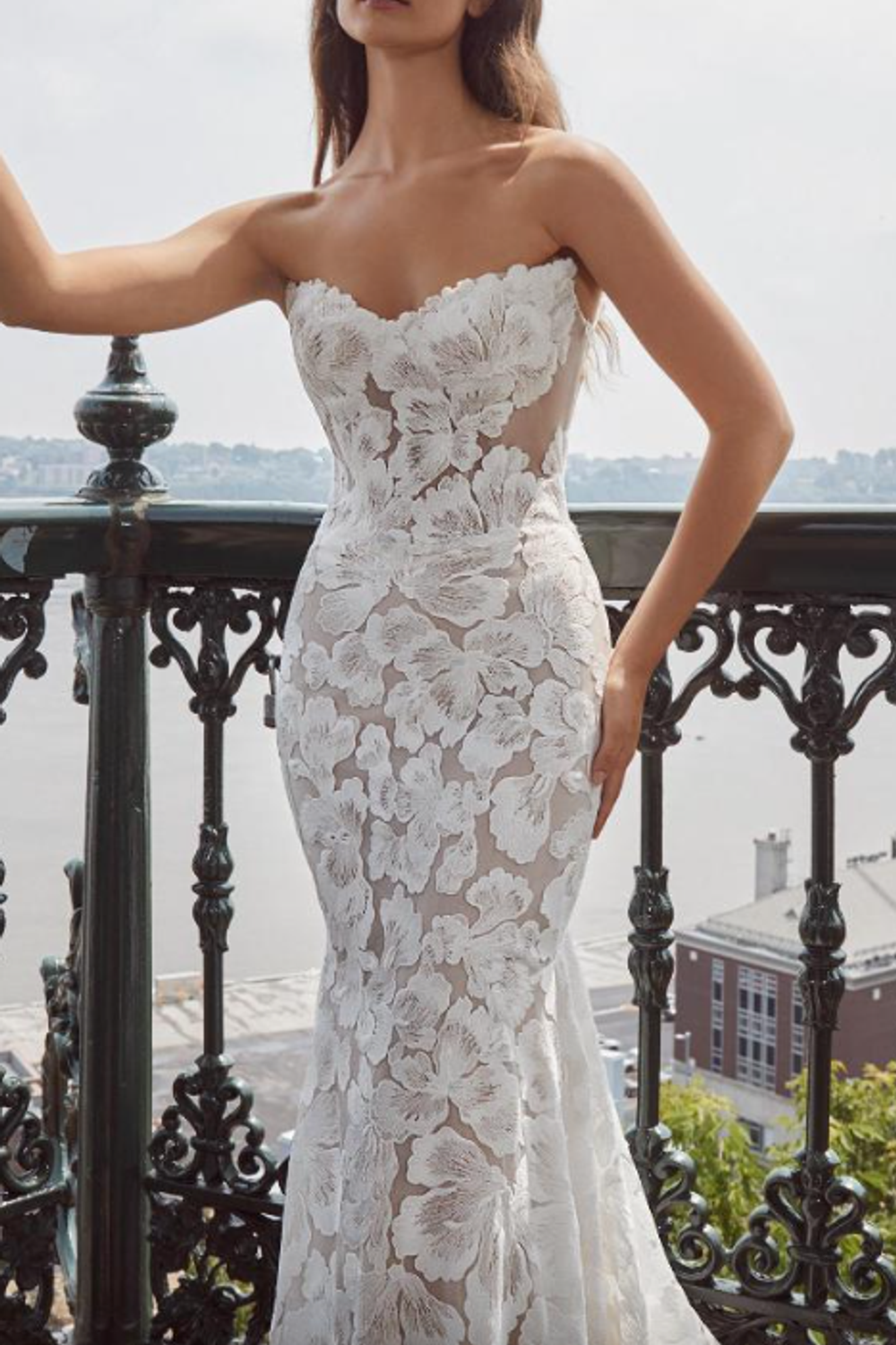 Calla Blanche Jill 3