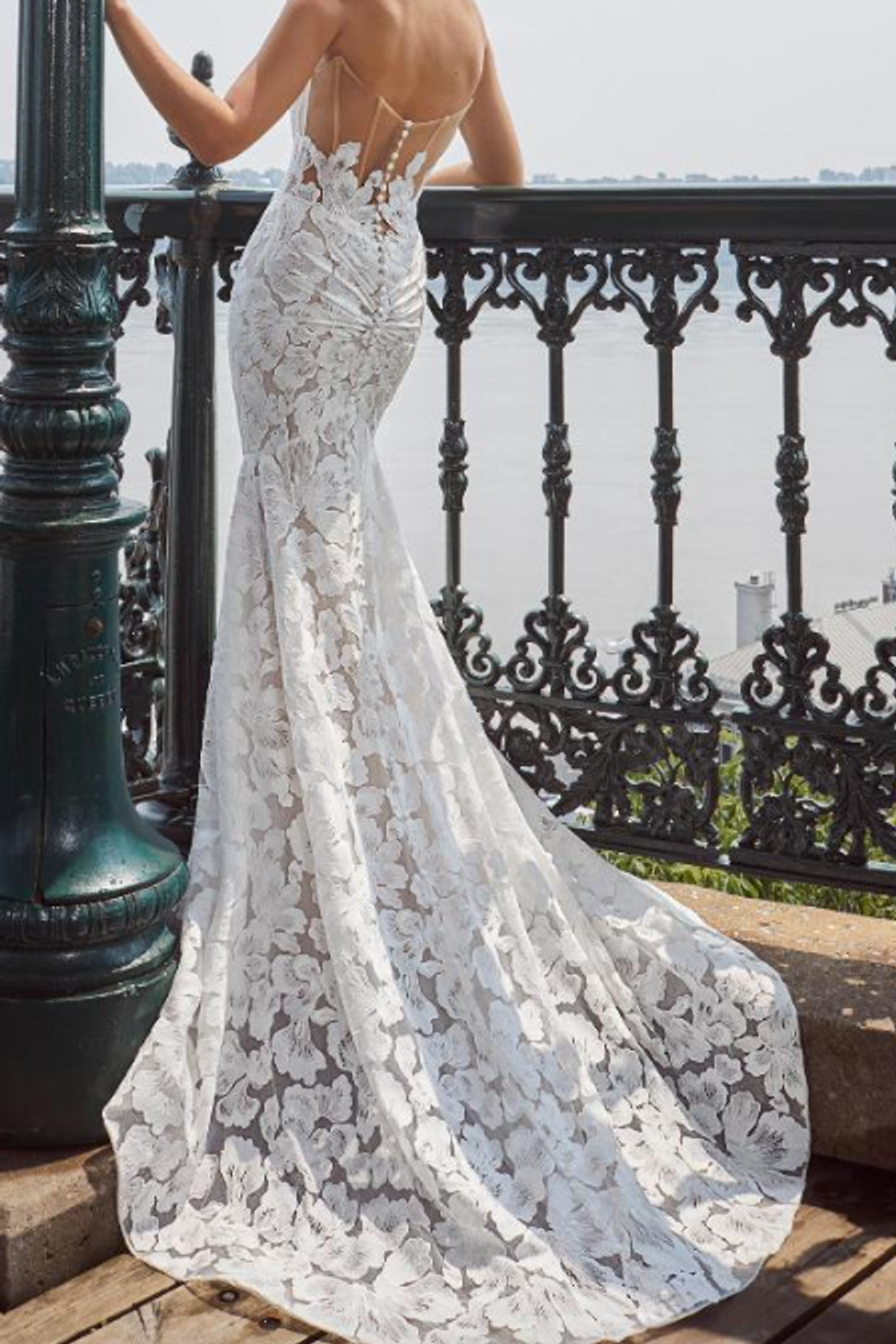 Calla Blanche Jill 2