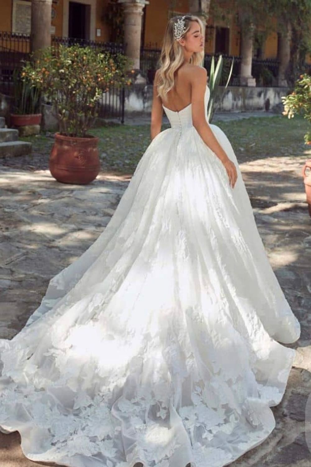 Calla Blanche Ruta 2