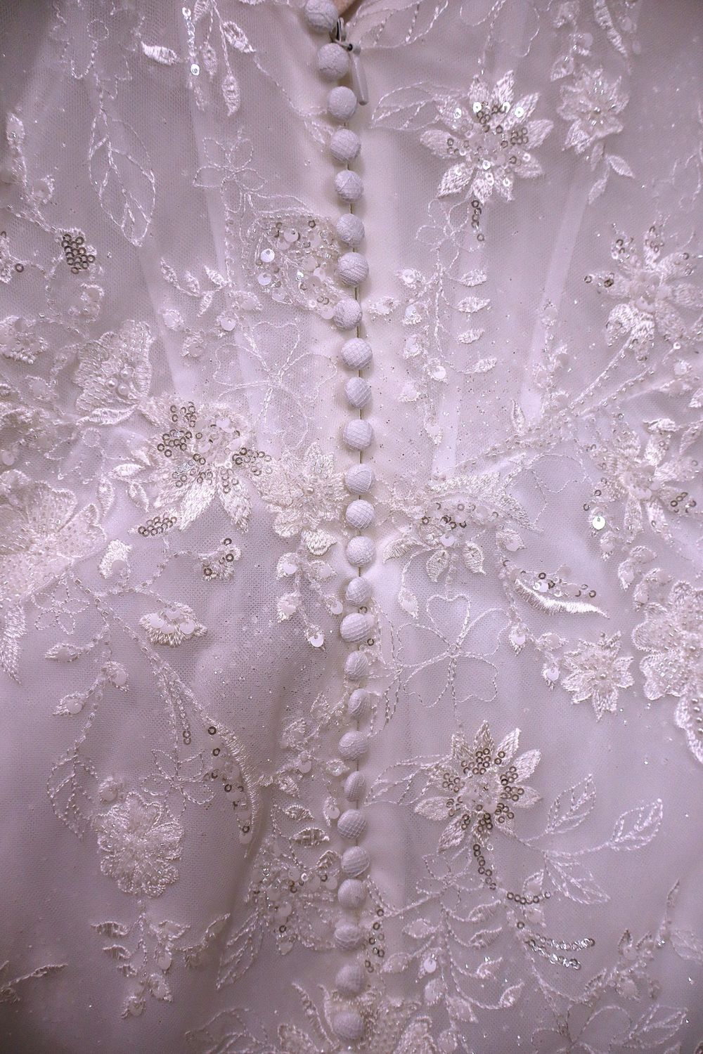 Jimme Huang Daphne 2