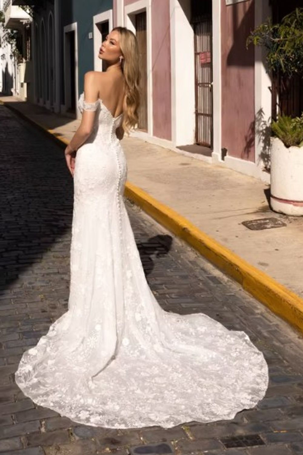 Jimme Huang Daphne 4