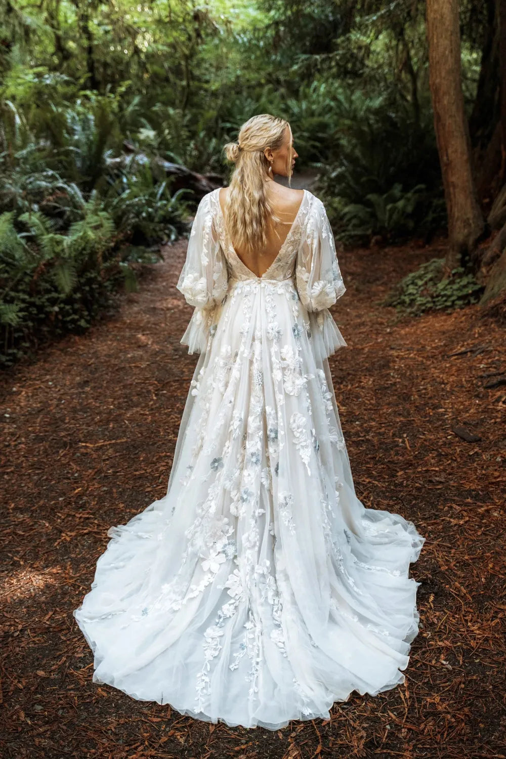 All Who Wander SAYLOR 1