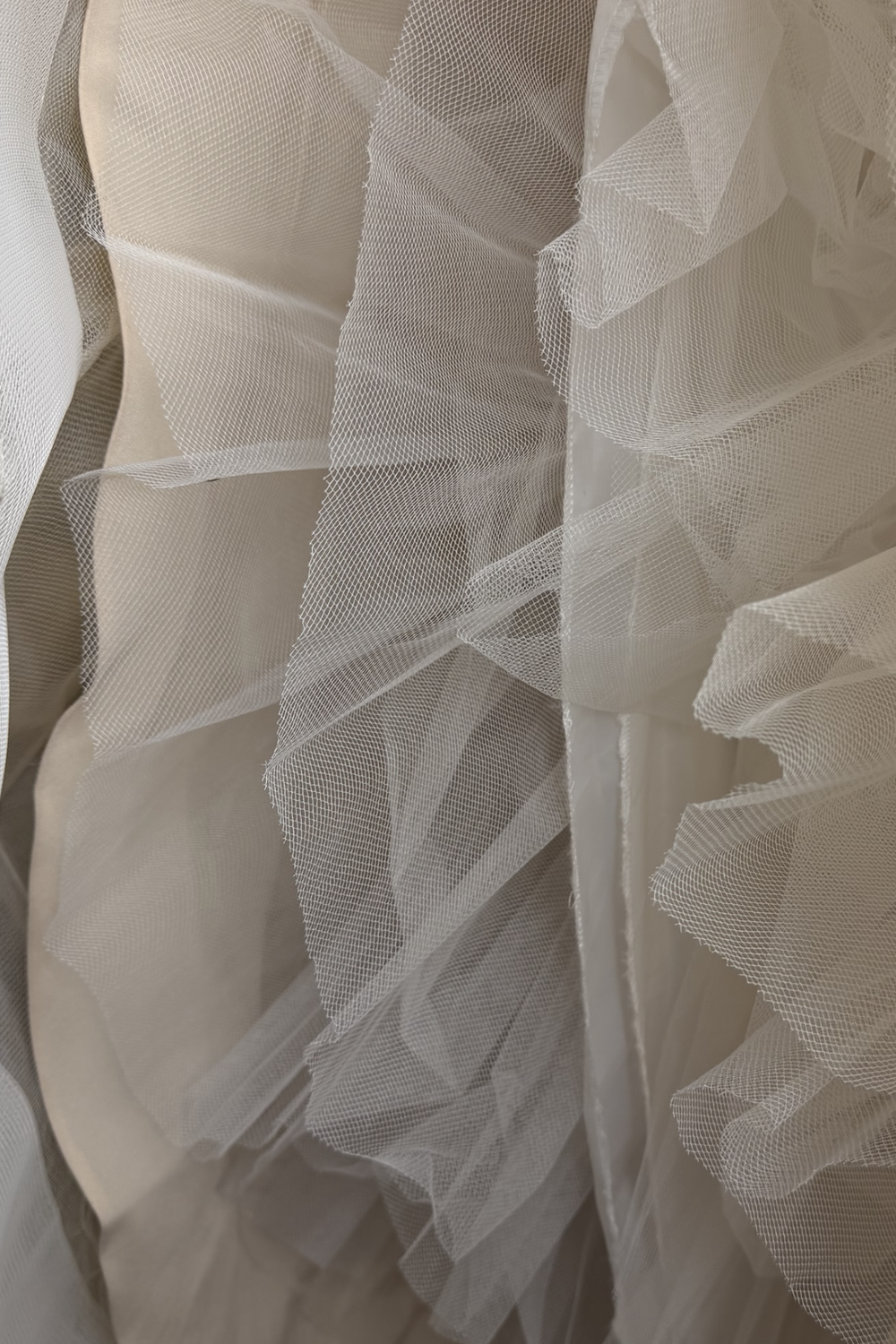Lazaro Lena 5