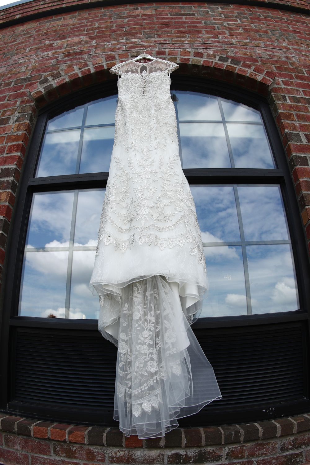 Stephen Yearick Queen 6