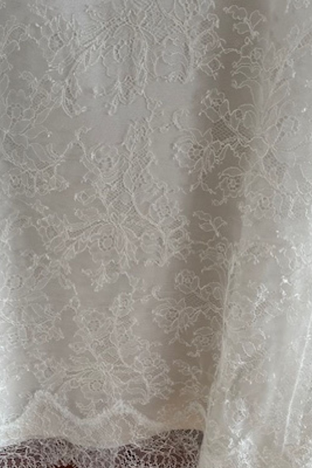 Custom Made Lace gown with V 1