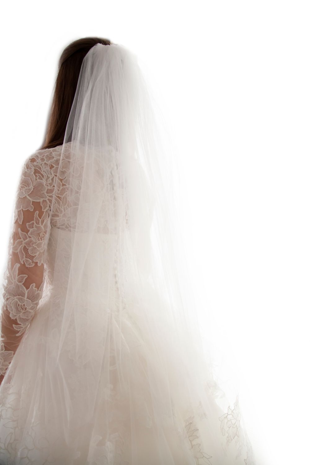 Anne Barge Ball gown  4