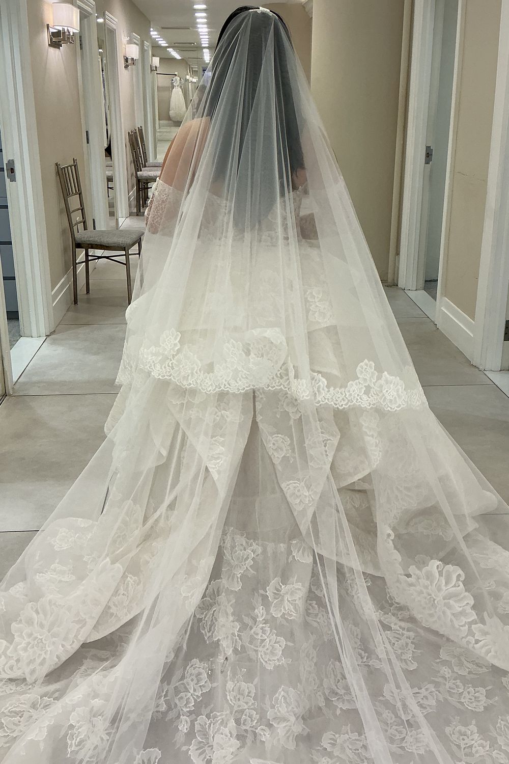 Monique Lhuillier Papillion with Veil and Gloves 7