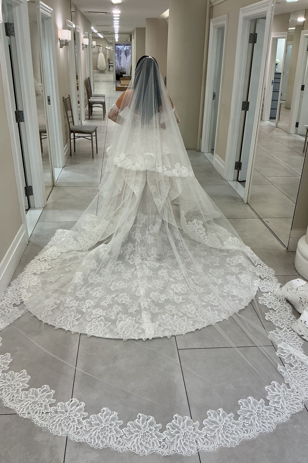 Monique Lhuillier Papillion with Veil and Gloves 3