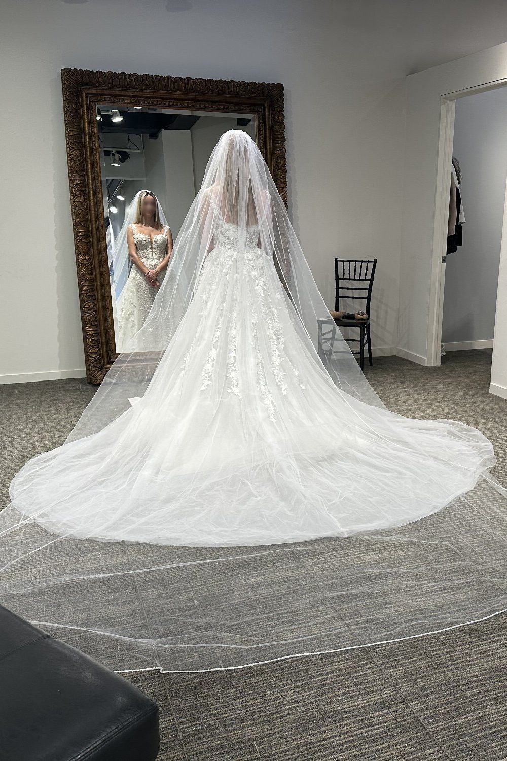 Pronovias Privee Amya with Veil and Overskirt 9