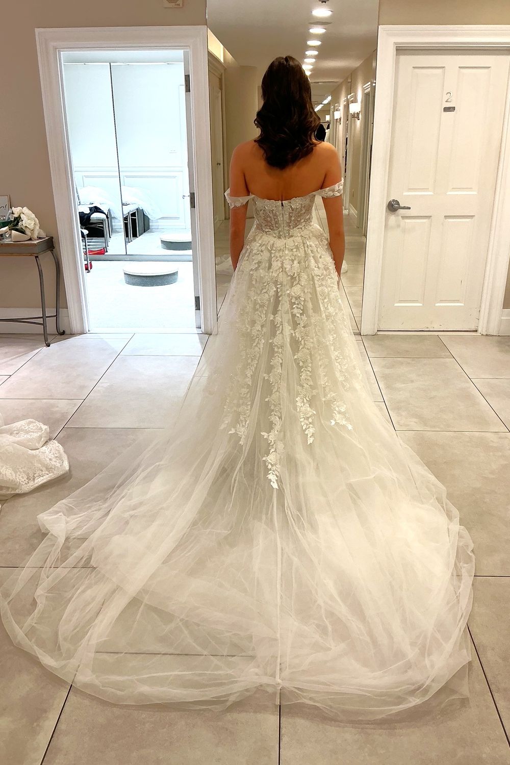 Pronovias Privee Amya with Veil and Overskirt 6