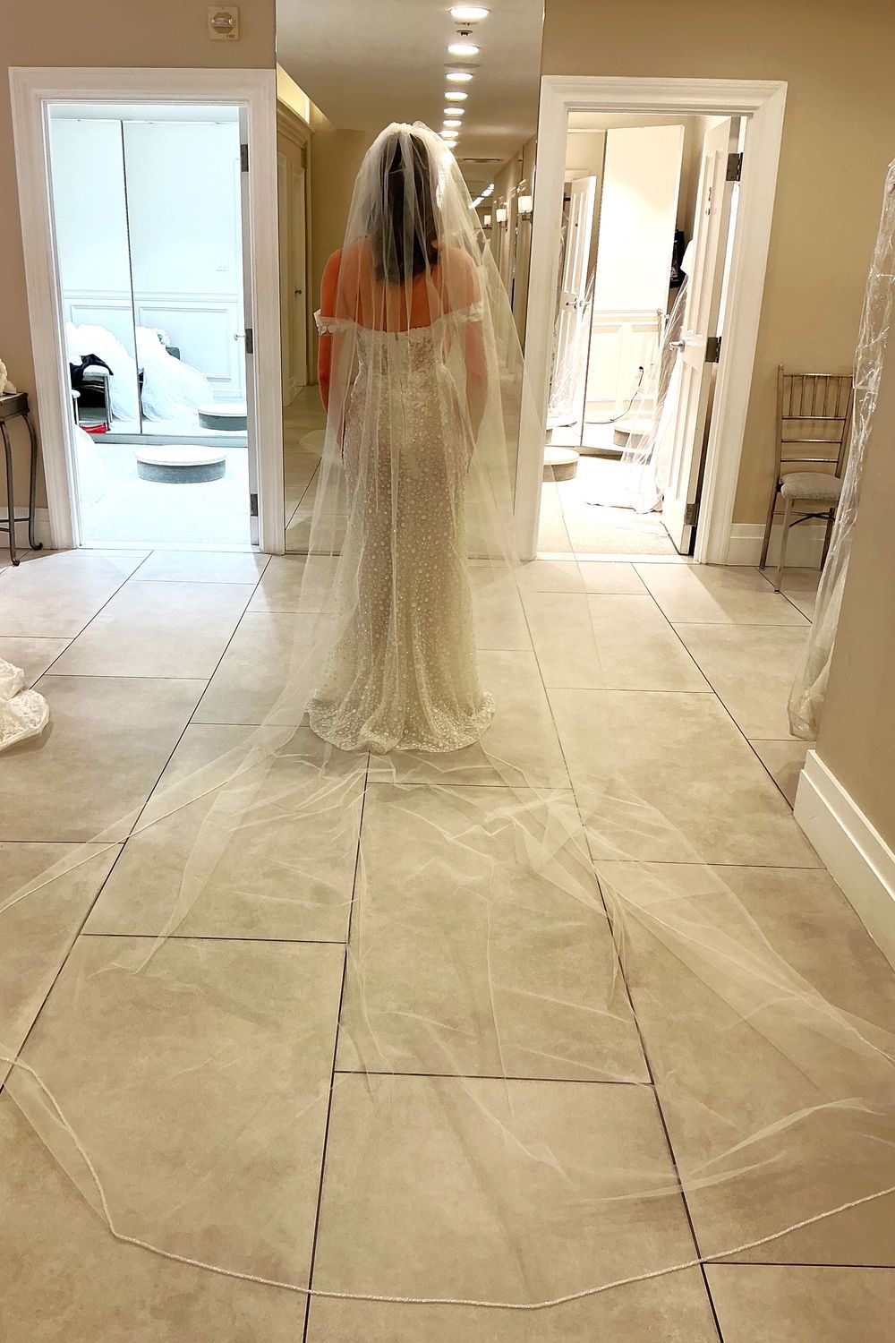 Pronovias Privee Amya with Veil and Overskirt 7