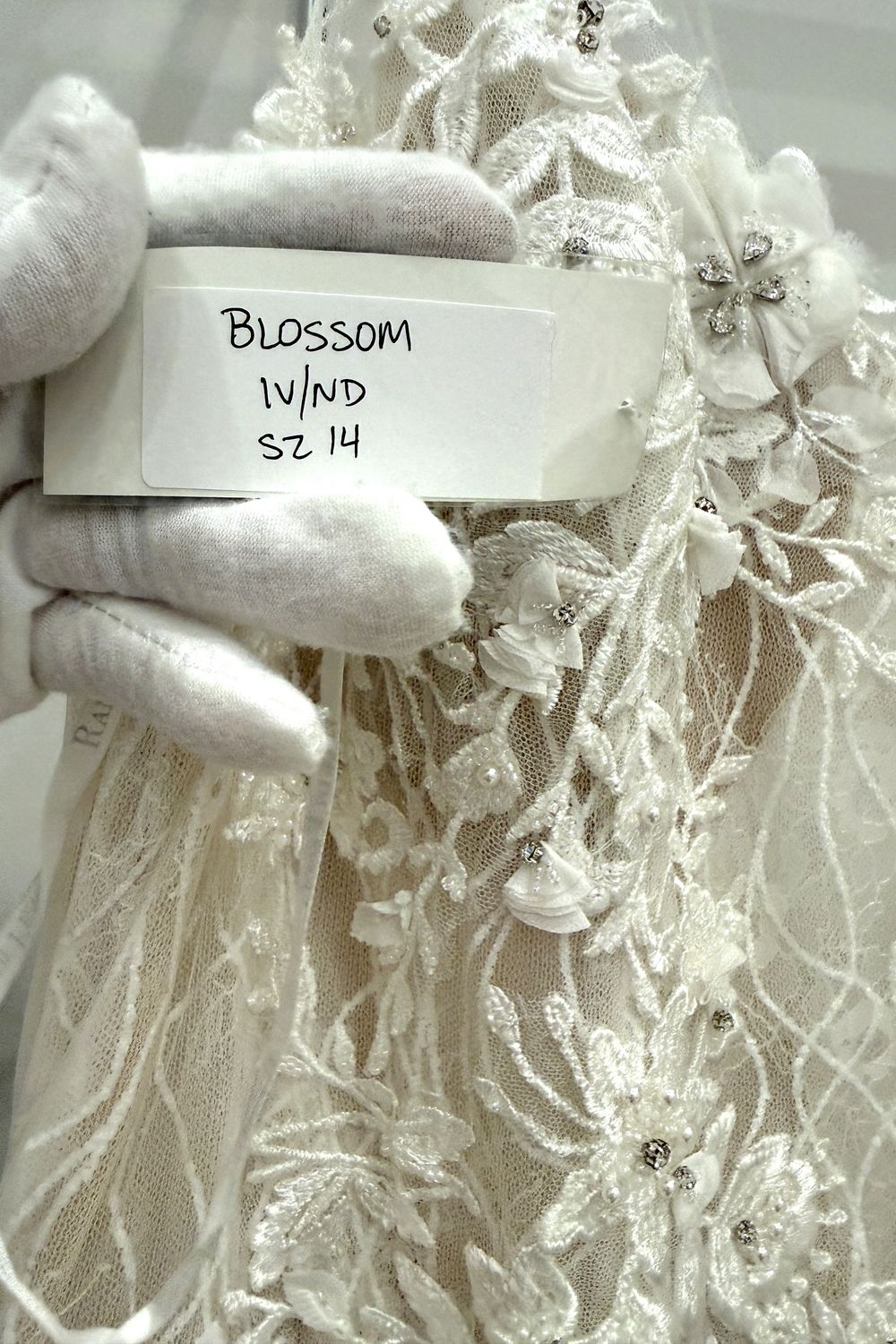 Randy Fenoli Blossom 5