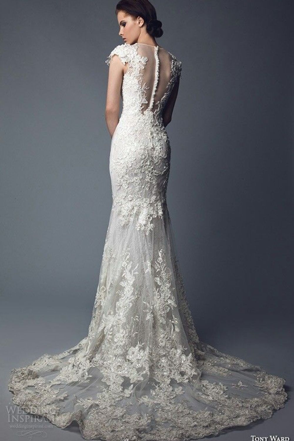 Tony Ward  Ida 1