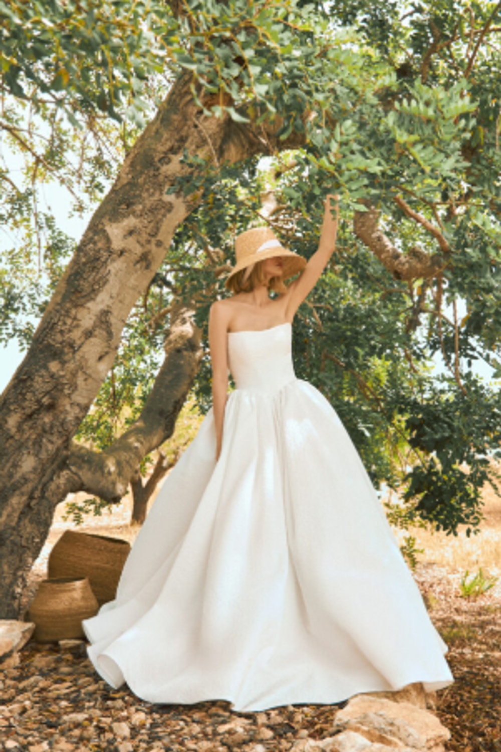 Pronovias Alby  5