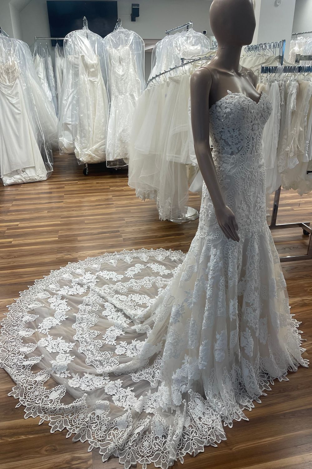 Pronovias Desi 4