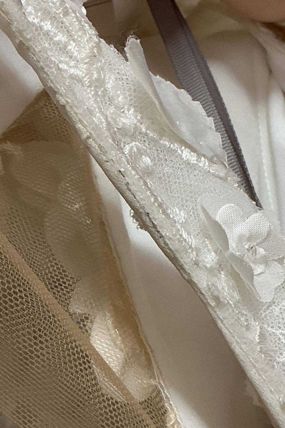 Tony Ward Peony 6