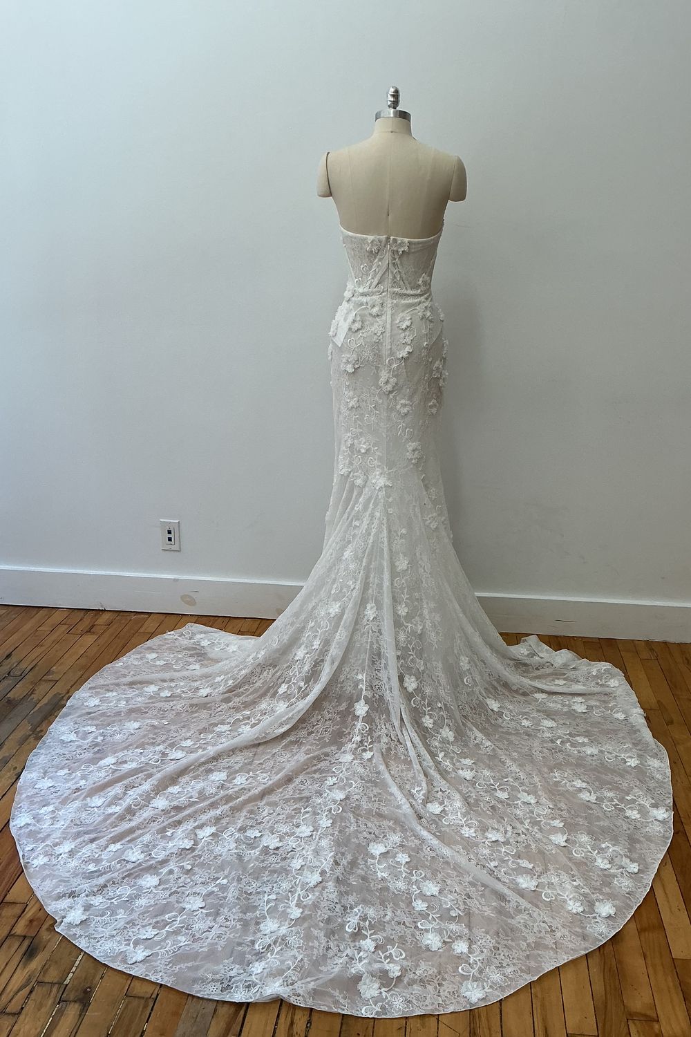 Tony Ward Nova 2