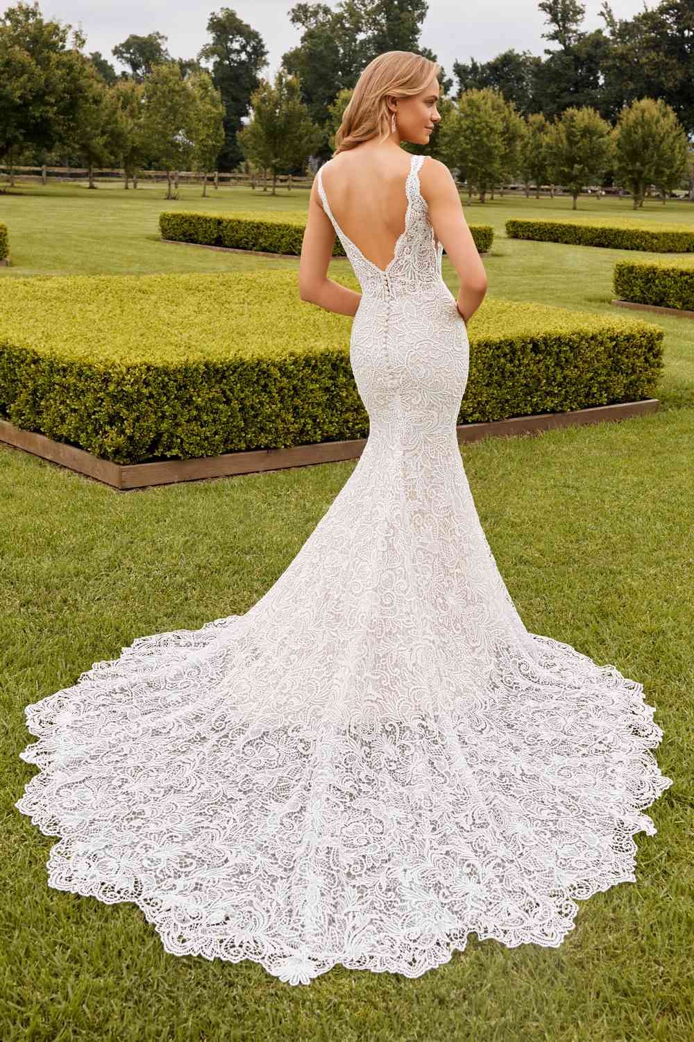 Sophia Tolli Y22272 "Frankie" 4