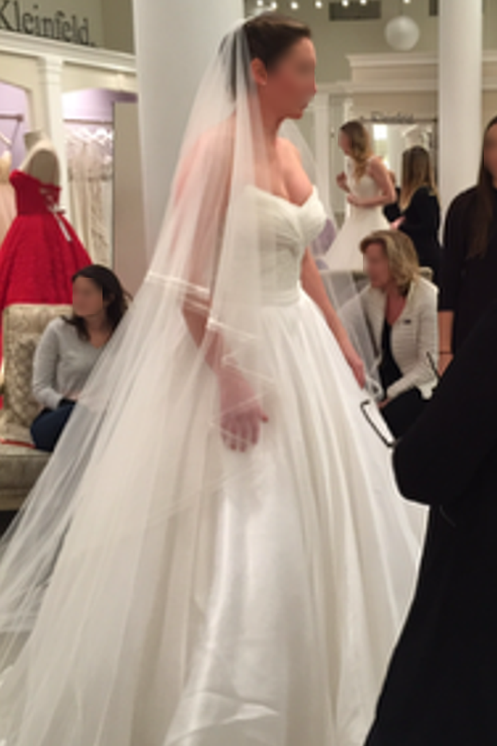 Tony Ward Couture Ballgown Dress with Veil and Corset 6