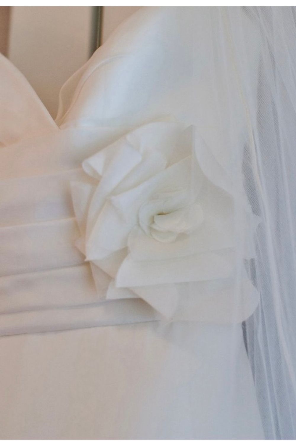 Judd Waddell Rosette 3