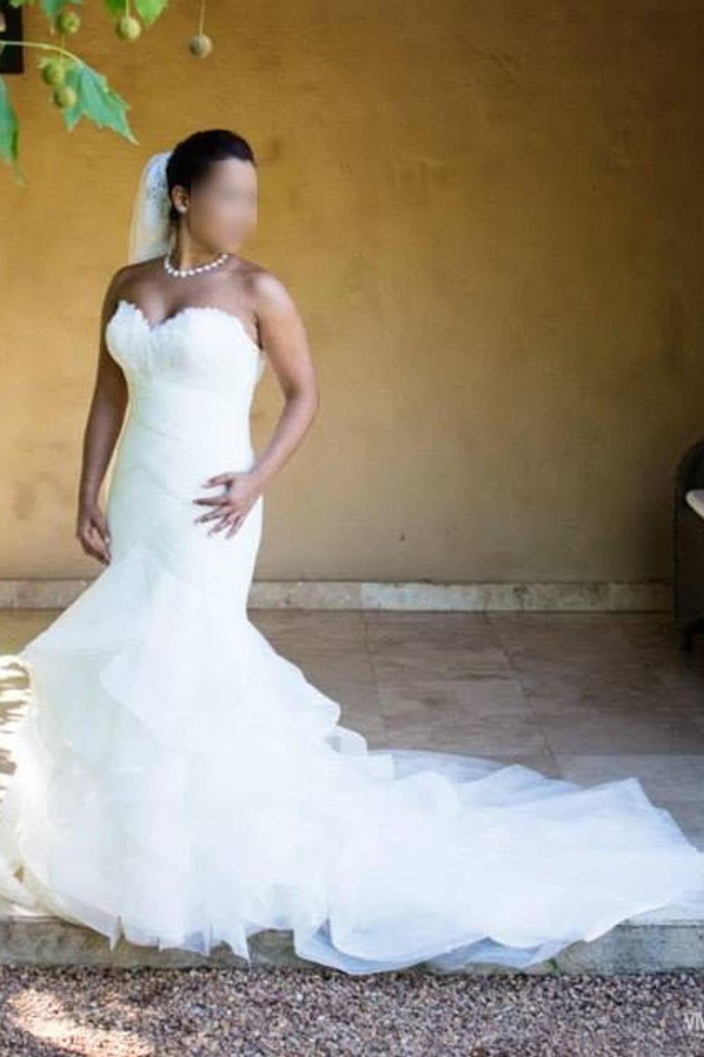 Pronovias Asha 3