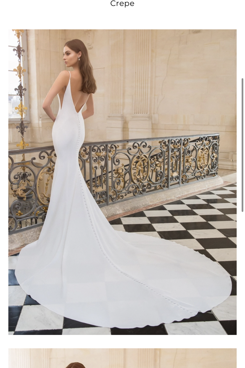Elysee Bouvier 3