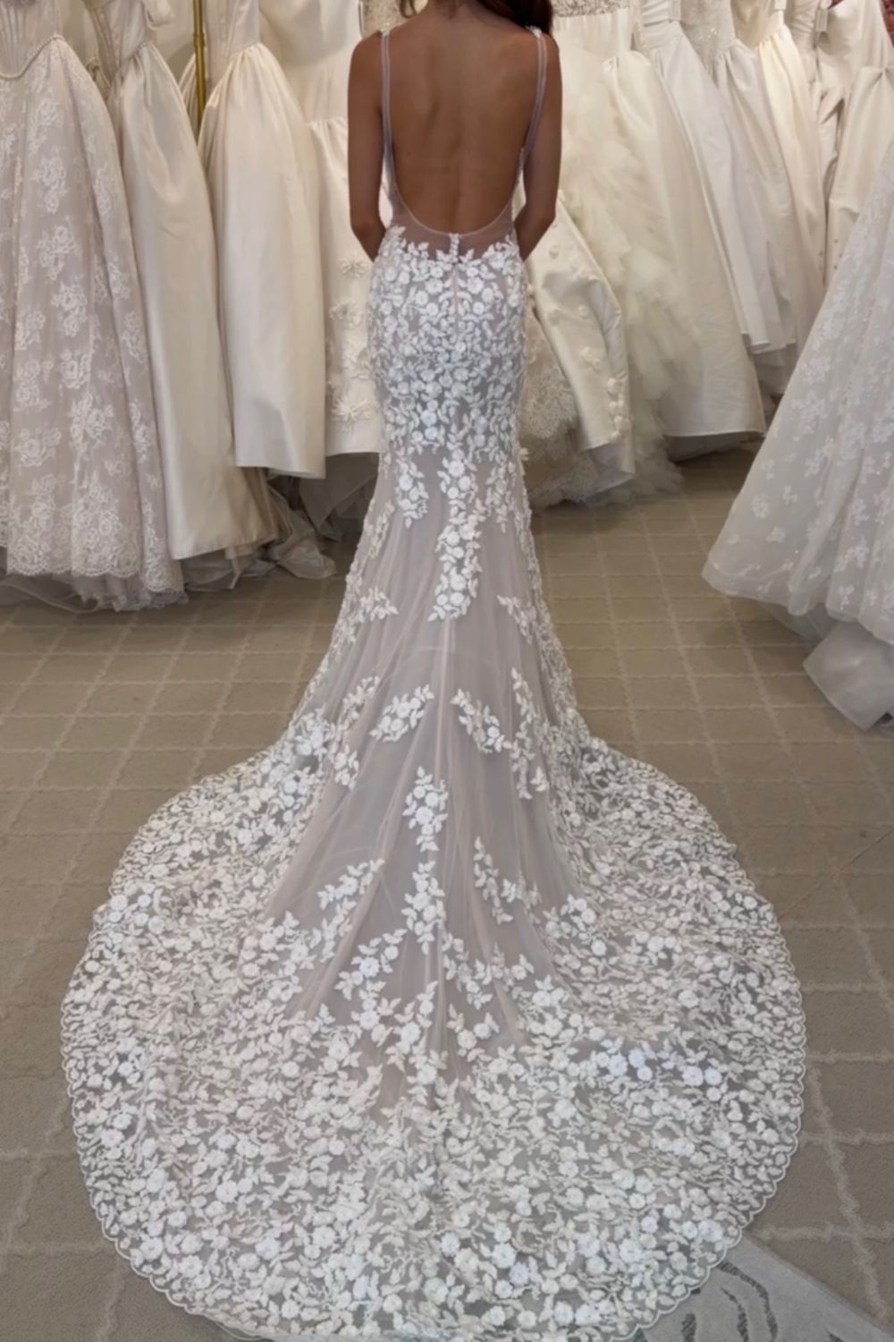 Steven Khalil Stefanie 5