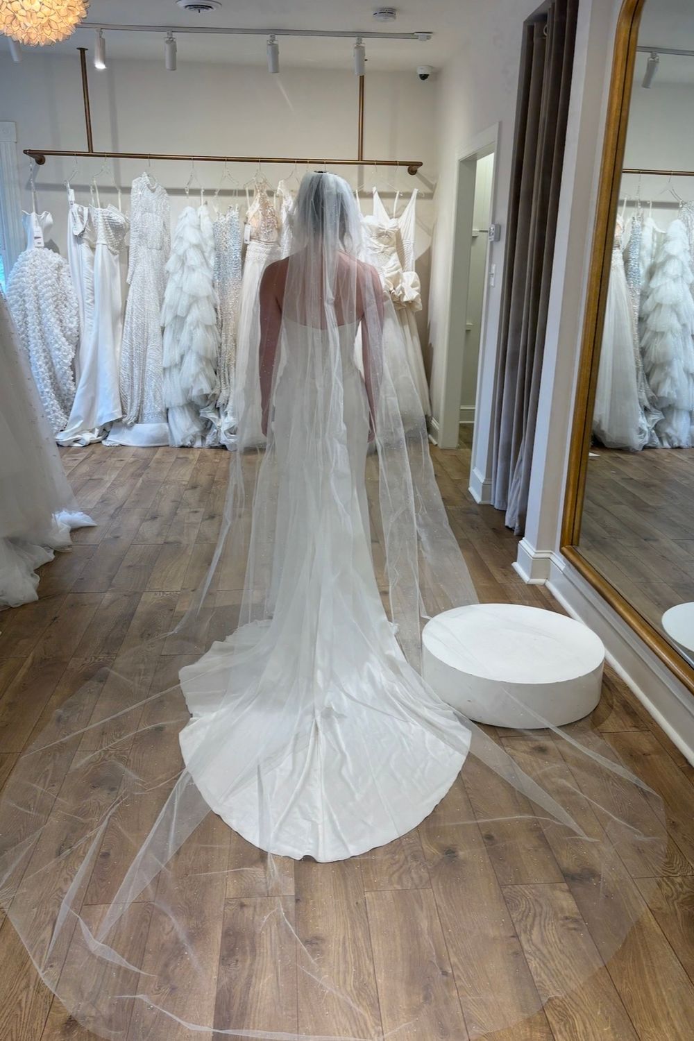 Pnina Tornai Dewdrop Crystal Cathedral Veil 2