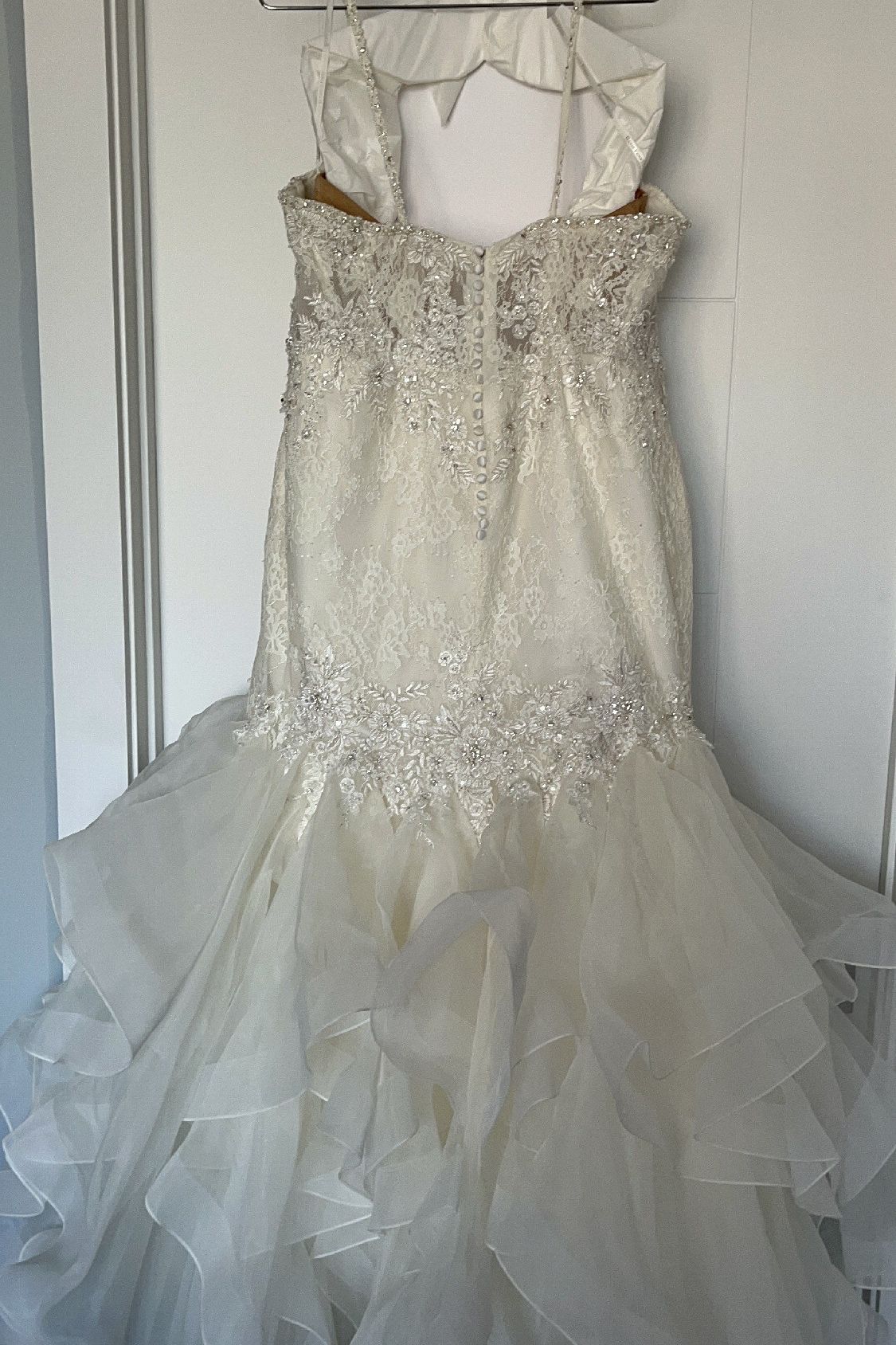 Randy Fenoli-ARIELXS Gown-1