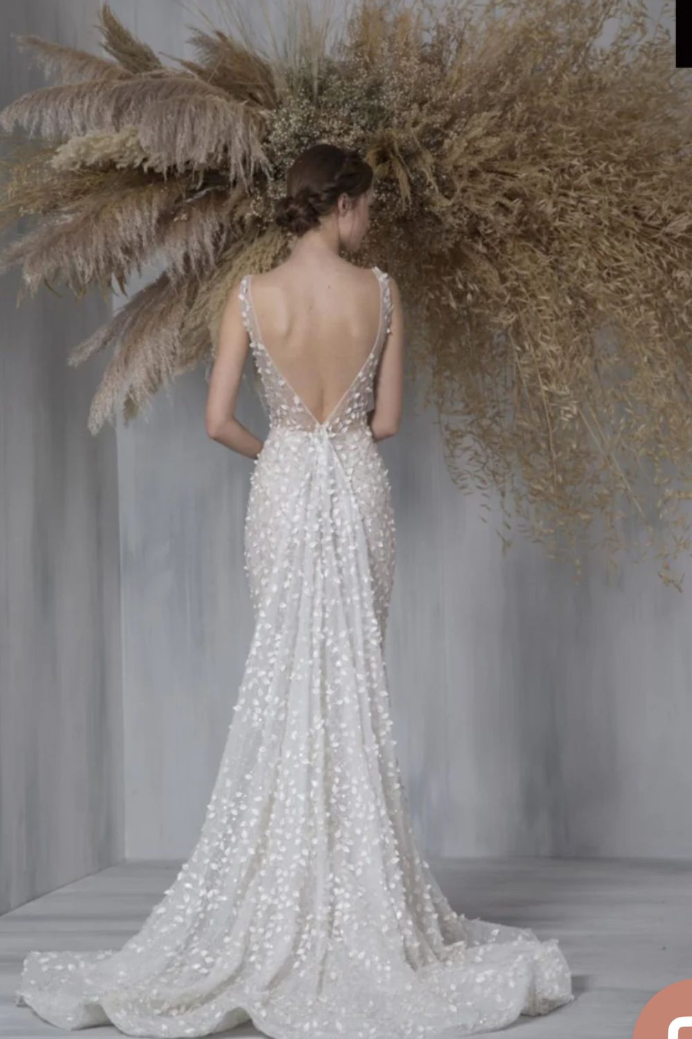 Tony Ward-alexa-1