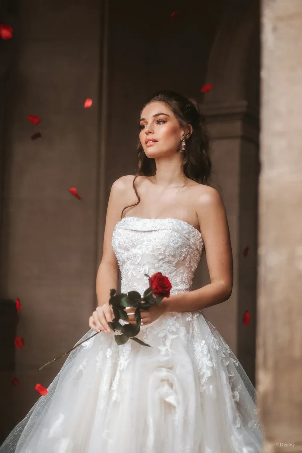Allure Disney D292 with Veil 3