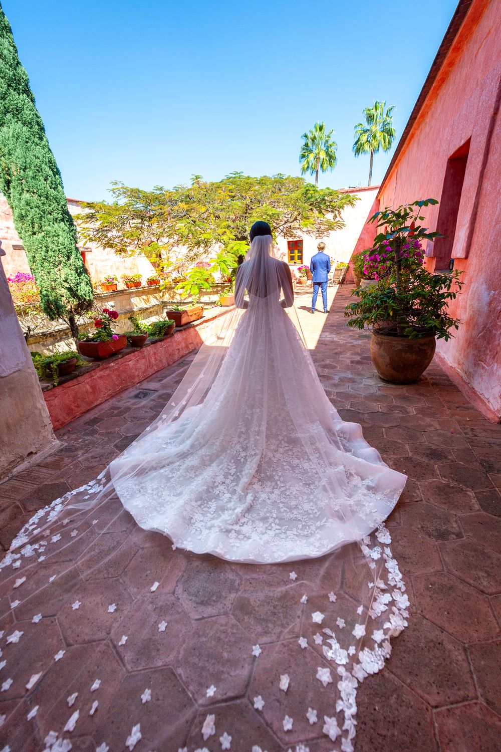 Lazaro Estelle 32209 with Veil 3