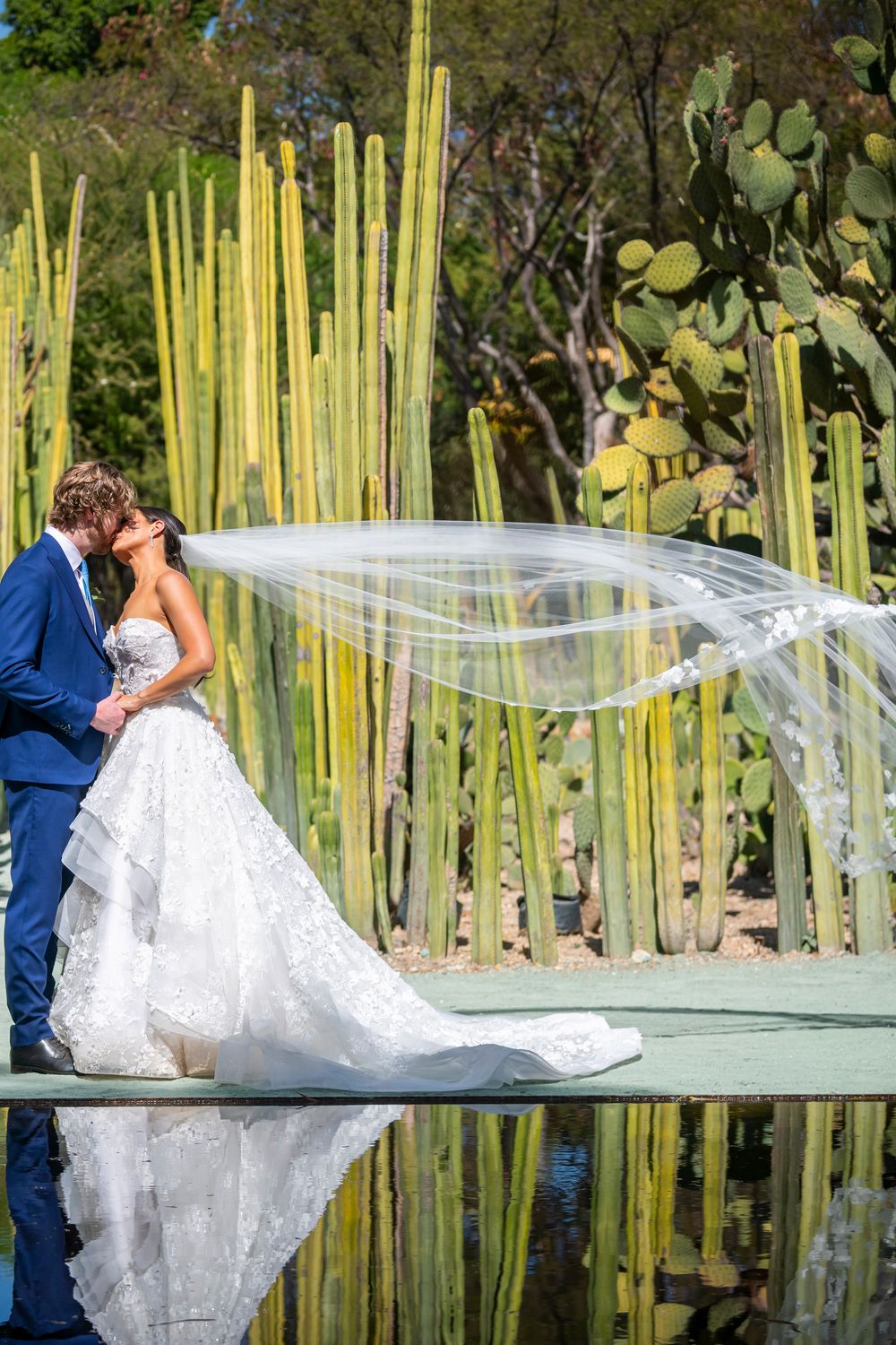 Lazaro Estelle 32209 with Veil 2