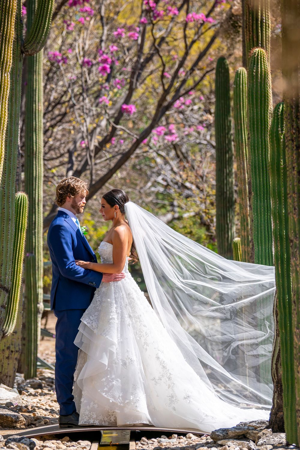 Lazaro Estelle 32209 with Veil 10