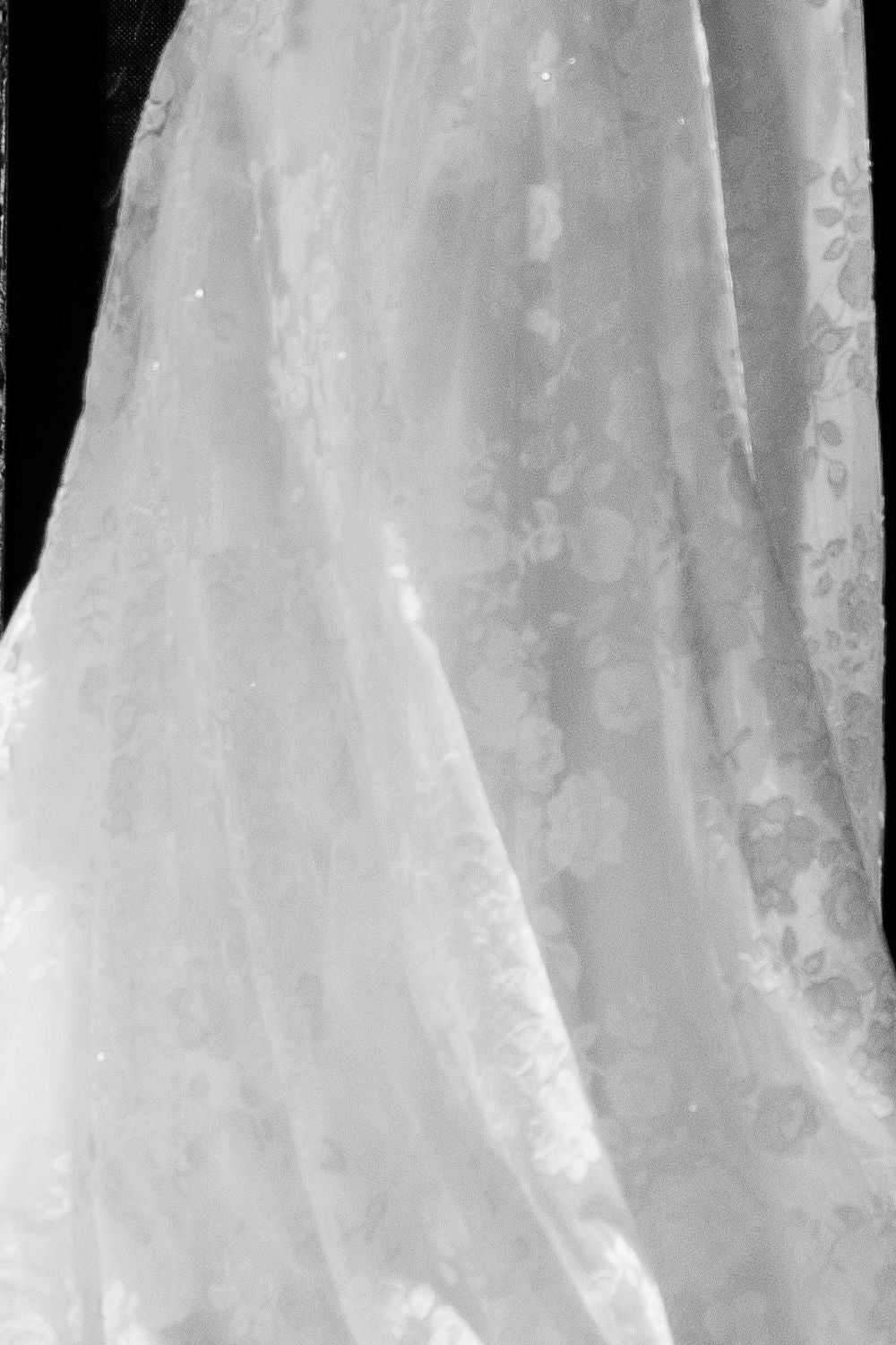 Sareh Nouri Paulette 5