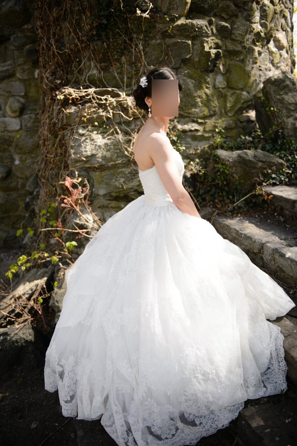 Alita Graham Lace Ballgown 7