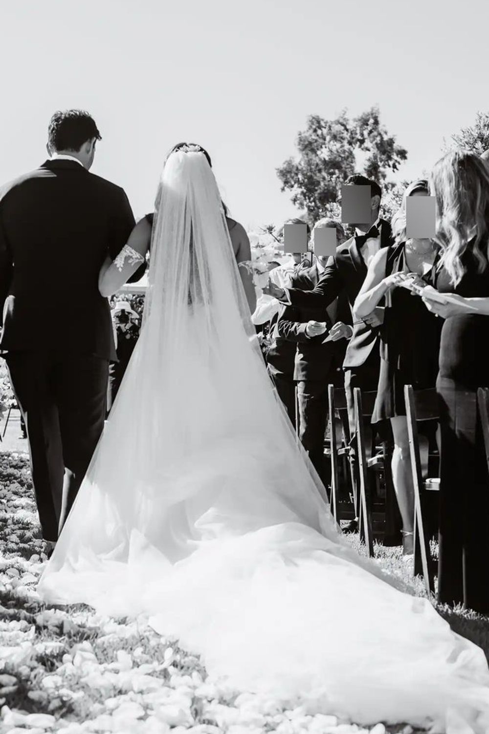 Galia Lahav Sparkle Veil -- Cathedral Length  3