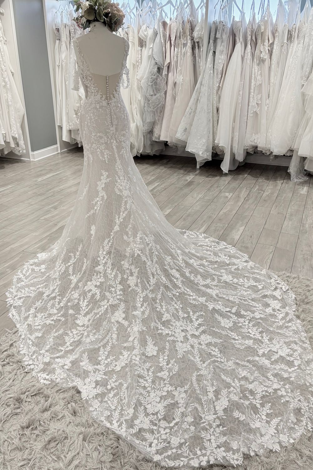 Sophia Tolli-Y3140 -5